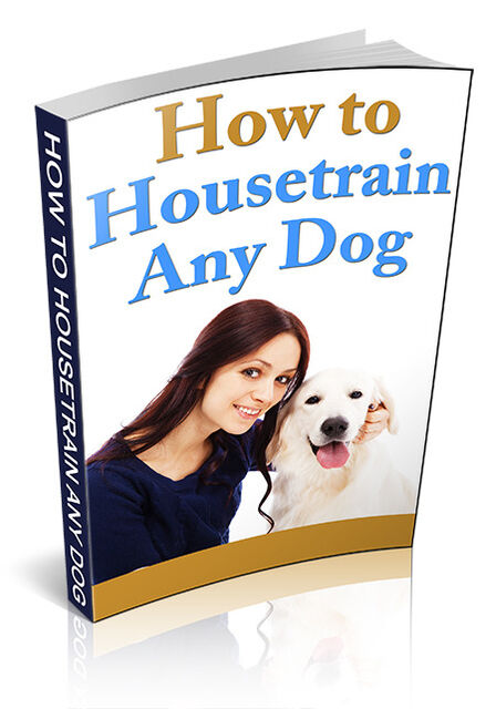 eCover representing How To Housetrain Any Dog eBooks & Reports with Master Resell Rights