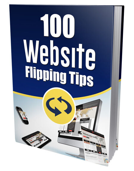 eCover representing New 100 Website Flipping Tips eBooks & Reports with Private Label Rights