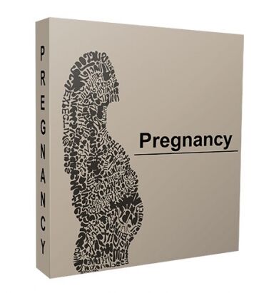 eCover representing Pregnancy Niche Website Bundle  with Personal Use Rights