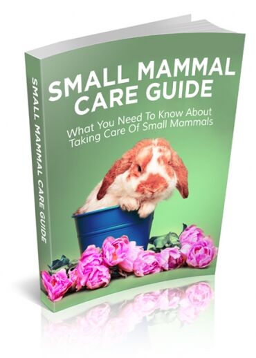 eCover representing Small Mammal Care Guide eBooks & Reports with Master Resell Rights