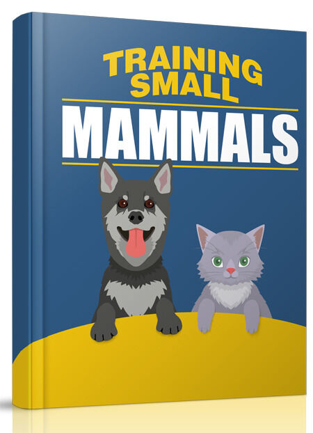 eCover representing Training Small Mammals eBooks & Reports with Resell Rights