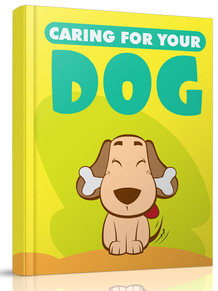 eCover representing Caring For Your Dog eBooks & Reports with Resell Rights