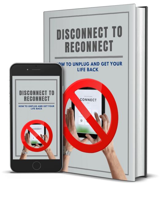 eCover representing Disconnect To Reconnect eBooks & Reports with Master Resell Rights