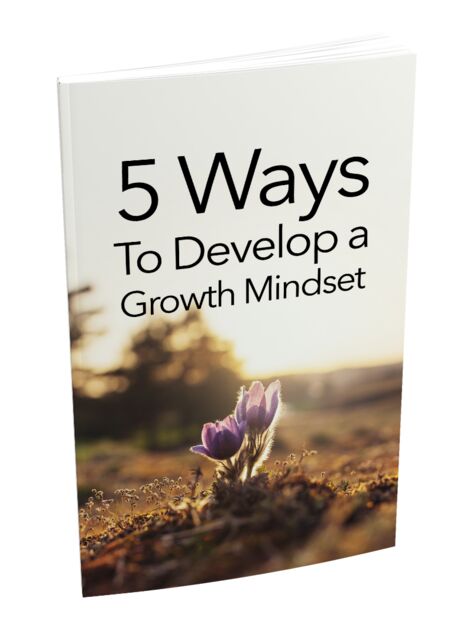 eCover representing The Growth Mindset eBooks & Reports with Master Resell Rights