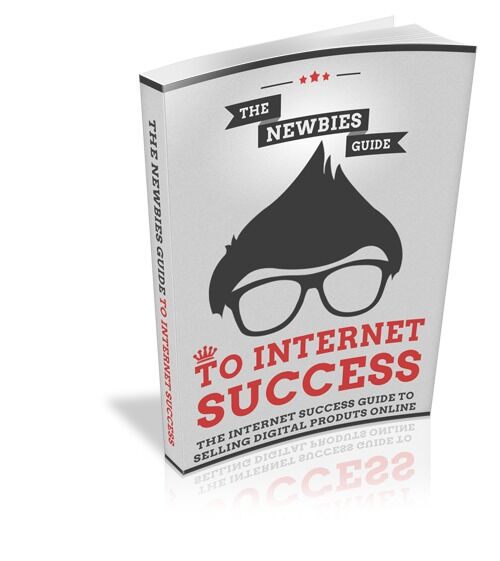 eCover representing The Newbies Guide To Internet Success eBooks & Reports with Master Resell Rights